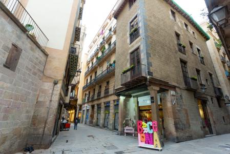 Appartement à louer à Barcelona Caputxes - Born