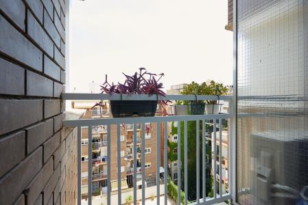 Appartamento in Affitto a Barcelona Escorial - Joanic