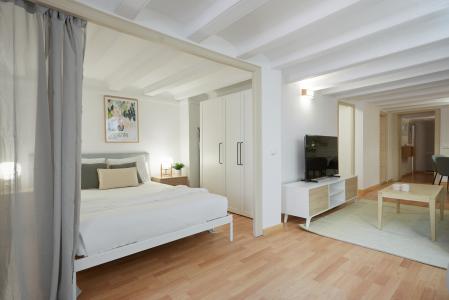 Appartement à louer à Barcelona Ferlandina - Macba