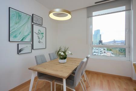 Apartment for Rent in Barcelona Fluvia - Diagonal