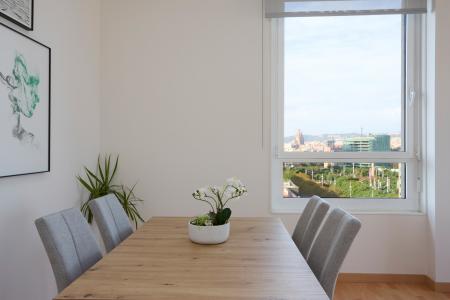 Apartment for Rent in Barcelona Fluvia - Diagonal