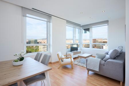 Apartment for Rent in Barcelona Fluvia - Diagonal