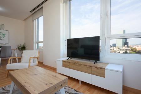 Apartment for Rent in Barcelona Fluvia - Diagonal