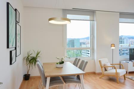 Apartment for Rent in Barcelona Fluvia - Diagonal