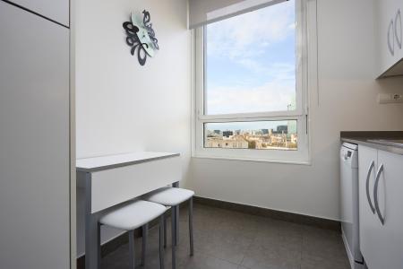 Apartment for Rent in Barcelona Fluvia - Diagonal