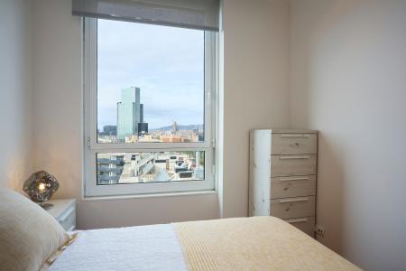 Apartment for Rent in Barcelona Fluvia - Diagonal