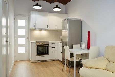 Apartamento en alquiler temporal con dos habitaciones dobles en pleno Eixample