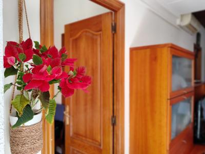 Apartment for Rent in Barcelona Indústria - Bailèn