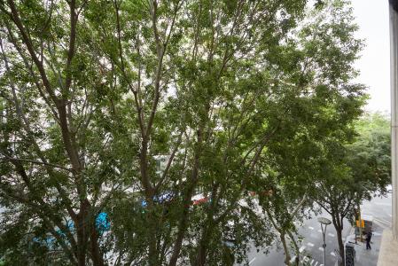 Квартира в аренду в Barcelona Sepulveda - Villarroel