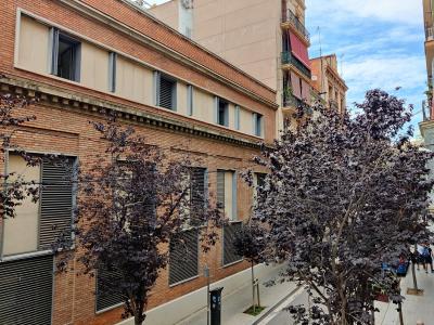 Appartamento in Affitto a Barcelona Hostafrancs De Sió - Vilardell