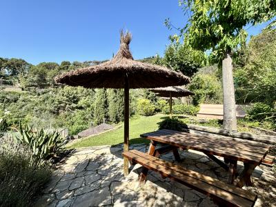 Apartment for Rent in Barcelona August Font - Collserolla