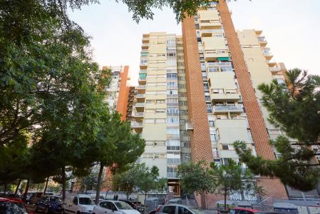 Apartment for Rent in Barcelona Mare De Deu Del Port - Plaça Cerda