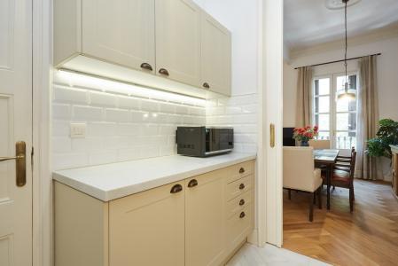 Pis en Lloguer a Barcelona Pau Claris - Consell De Cent