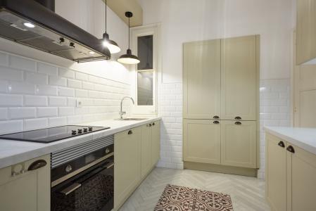 Pis en Lloguer a Barcelona Pau Claris - Consell De Cent