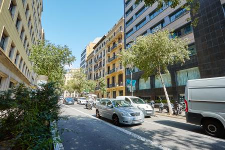 Pis en Lloguer a Barcelona Pau Claris - Consell De Cent