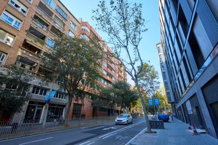 Appartamento in Affitto a Barcelona Sardenya - Sagrada Familia