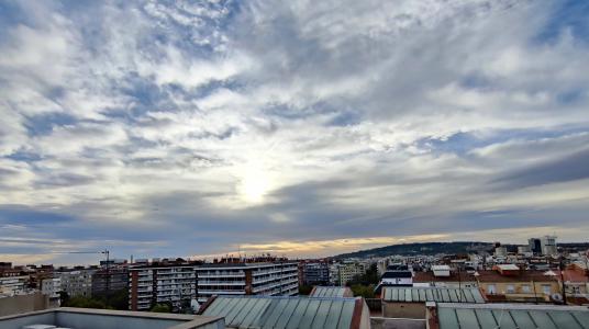 Despacho en Lloguer a Barcelona Entença - Montnegre (precio + Iva)