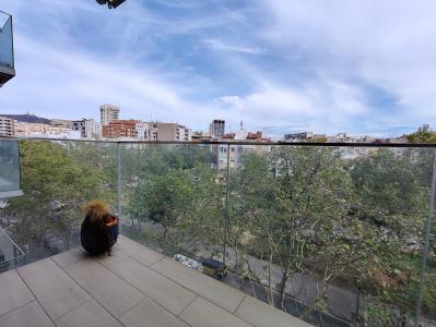 Despacho en Lloguer a Barcelona Entença - Montnegre (precio + Iva)