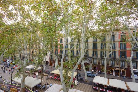 Appartement à vendre à Barcelona La Rambla - Plaza Real