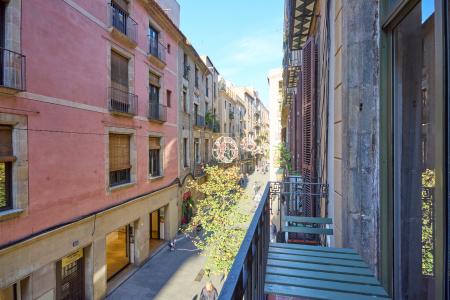 Appartement à louer à Barcelona Sant Pere Mes Baix - Mercat Santa Caterina