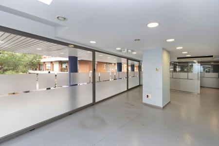 Local comercial en Alquiler en Barcelona Rambla Brasil - Melcior De Palau (precio + Iva)