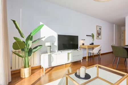 Pis en Lloguer a Barcelona Guitard - Berlin