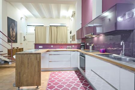 Loft en Lloguer a Barcelona Flors - Ronda Sant Pau