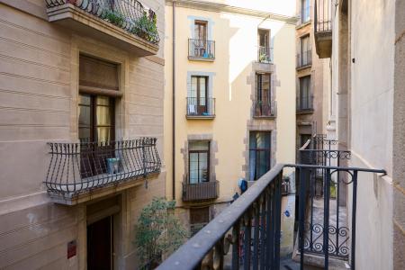 Vive en el Corazón de Ciutat Vella: Inmueble de 67 m²