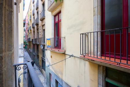 Pis en Lloguer a Barcelona Milans - Avinyó (10 Months Minimum)