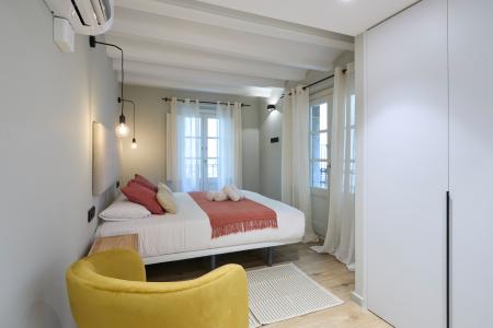 Pis en Lloguer a Barcelona Milans - Avinyó (10 Months Minimum)