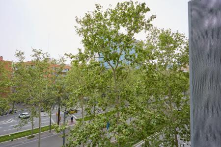 Apartment for Vacation Rentals in Barcelona Av. Diagonal - Carrer De Castilla