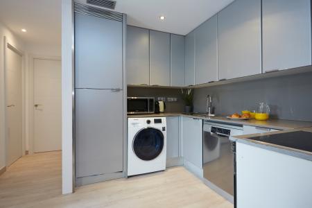 Apartment for Vacation Rentals in Barcelona Av. Diagonal - Carrer De Castilla