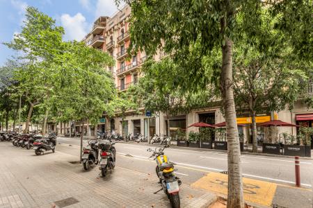 Piso en Alojamientos turísticos en Barcelona Roger De Lluria-mallorca