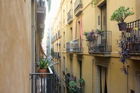 Pis en Lloguer a Barcelona Carrer D'en Serra - Carrer Ample