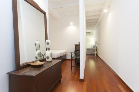 Appartement te huur in Barcelona Montanyans - Born (wifi Soon)