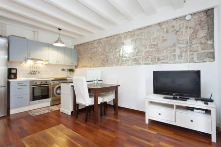 Appartement te huur in Barcelona Montanyans - Born (wifi Soon)