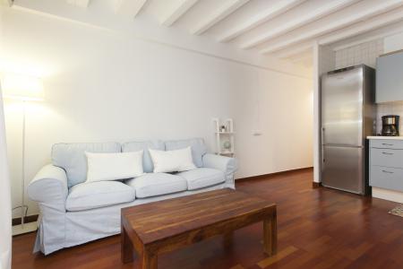 Appartement te huur in Barcelona Montanyans - Born (wifi Soon)