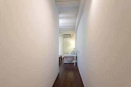 Appartement te huur in Barcelona Montanyans - Born (wifi Soon)