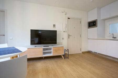 Apartment for Rent in Barcelona Arc Del Teatre - La Rambla