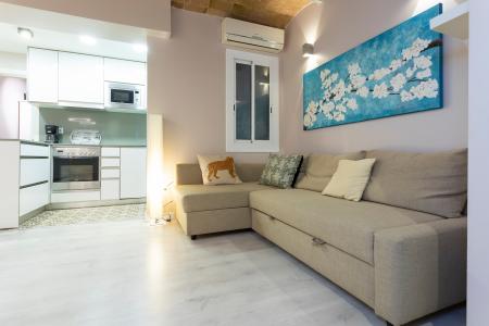 Appartement à louer à Barcelona Provença - Calabria