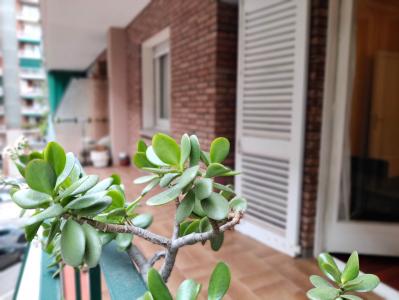 Pis en Lloguer a Barcelona Rosselló - Passeig Sant Joan