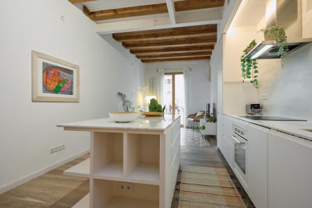 Apartment for Rent in Barcelona Comte Borrell - Sepúlveda