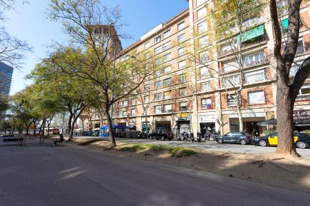 Apartment for Rent in Barcelona Josep Tarradelles - Numancia