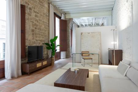 Loft en alquiler temporal con habitación doble y espectacular salón en Gòtic