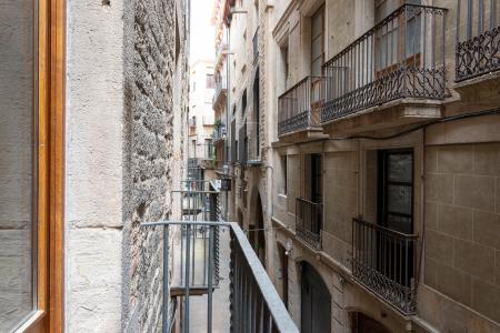 Loft en alquiler temporal con habitación doble y espectacular salón en Gòtic