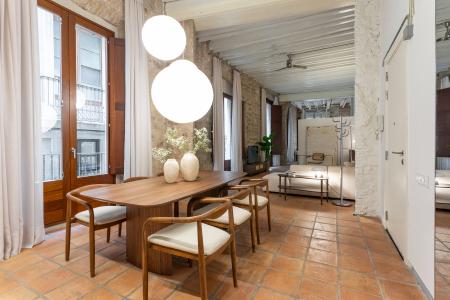 Loft en alquiler temporal con habitación doble y espectacular salón en Gòtic