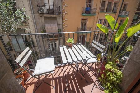 Pis en Lloguer a Barcelona Ample - Regomir