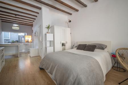 Pis en Lloguer a Barcelona Ample - Regomir