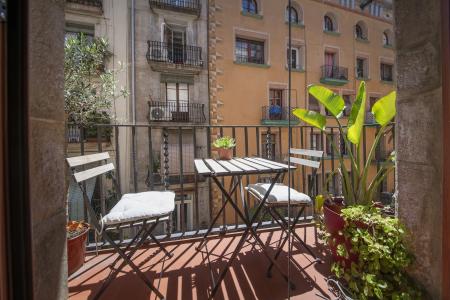 Pis en Lloguer a Barcelona Ample - Regomir