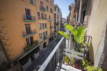 Pis en Lloguer a Barcelona Ample - Regomir